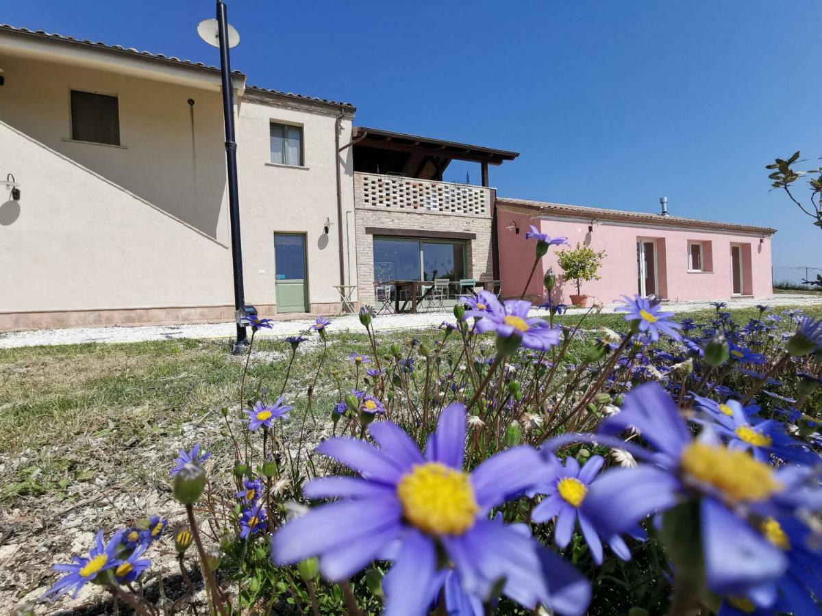 B&B Ceresa - Country House Лорето Экстерьер фото